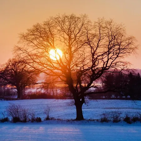 Cozy In Krems Iiwarderbrueck *